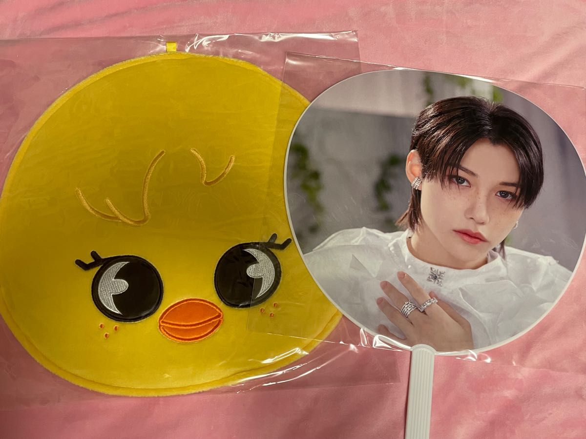 straykids フィリックス　Felix ピリ　グッズまとめ売り　うちわ　ポガリ　うちわケース　アクスタ　アクキー　ステッカー