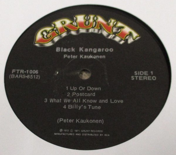 ☆彡 Blues ROCK 名盤 Peter Kaukonen Black Kangaroo [ US ORIG '72 Grunt FTR-1006 ]_画像3