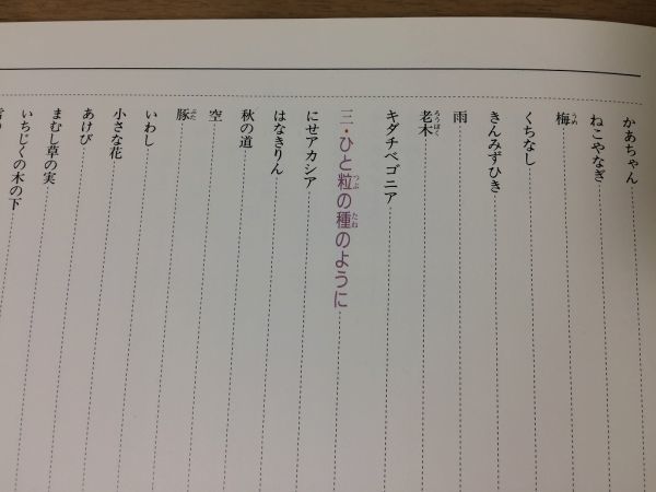 ●K29A●鈴の鳴る道●花の詩画集●星野富弘●木蓮ひまわりコスモス梅雨空随筆●1988年40刷●偕成社●即決_画像5