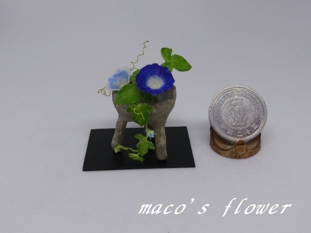 maco's miniature flower♪朝顔♪_画像1