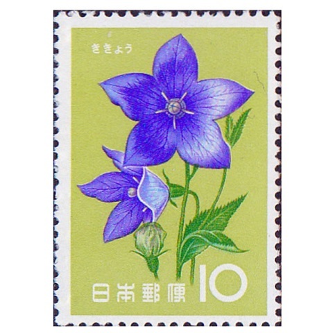10円 花シリーズ ききょう 1枚 1961年(昭和36年) 未使用 日本郵便の画像1