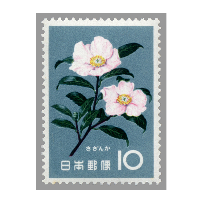 10円 花シリーズ さざんか 1枚 1961年(昭和36年) 未使用 日本郵便_画像1