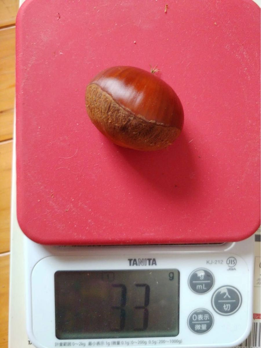 熊本県産生栗　特大サイズ　１ｋｇ