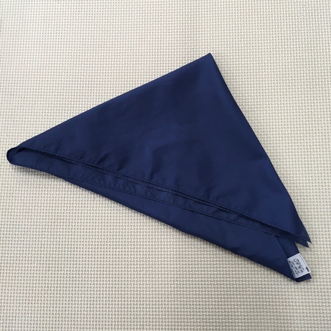 S)A890(中古)埼玉方面 女子学生服 5点セット /160A/165A/W69 S)A890(中古)埼玉方面 女子学生服 5点セット /160A/165A/W69