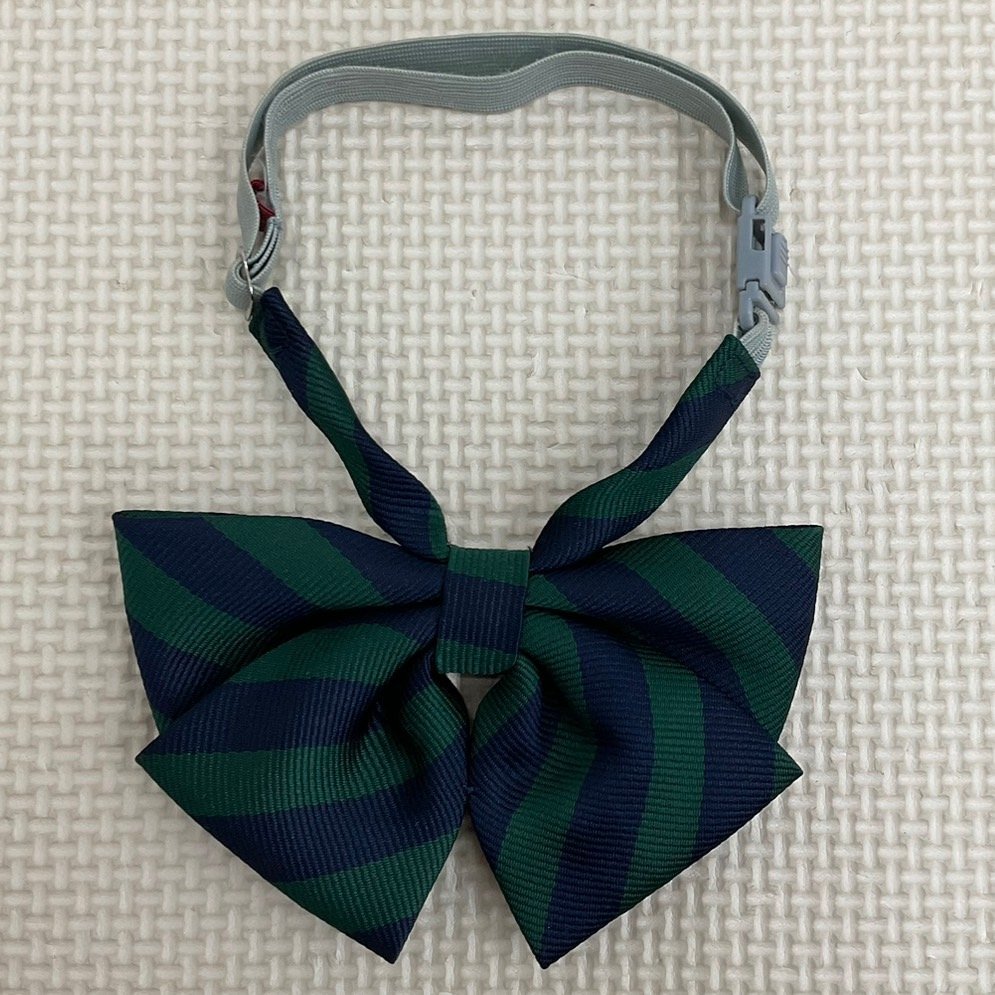 US867 (中古) 埼玉県 川越女子高校 7点セット /165A/165AL/W69 US867 (中古) 埼玉県 川越女子高校 7点セット /165A/165AL/W69