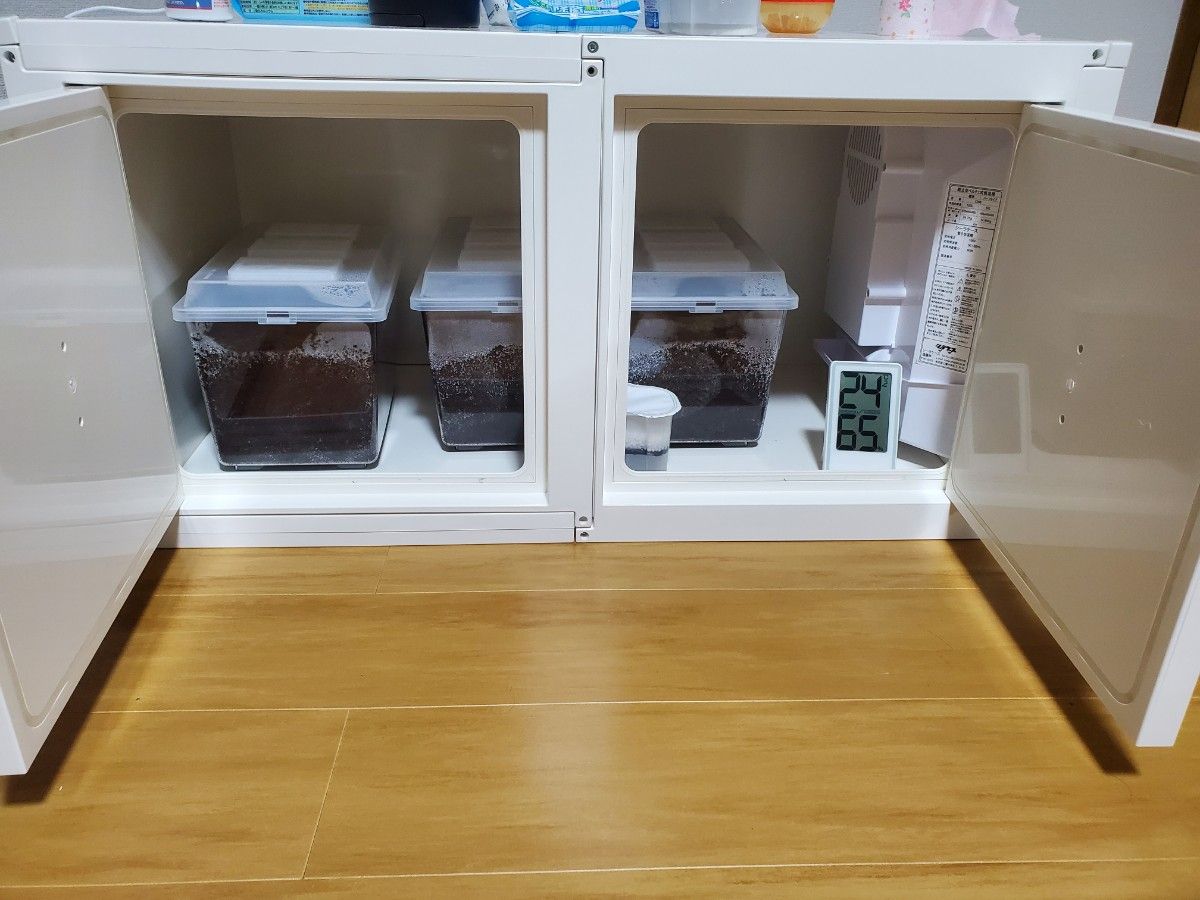 冷やし虫家 ヘラクレス飼育 小型ファン シーラケース|Yahoo 冷やし虫家 ヘラクレス飼育 小型ファン シーラケース|Yahoo