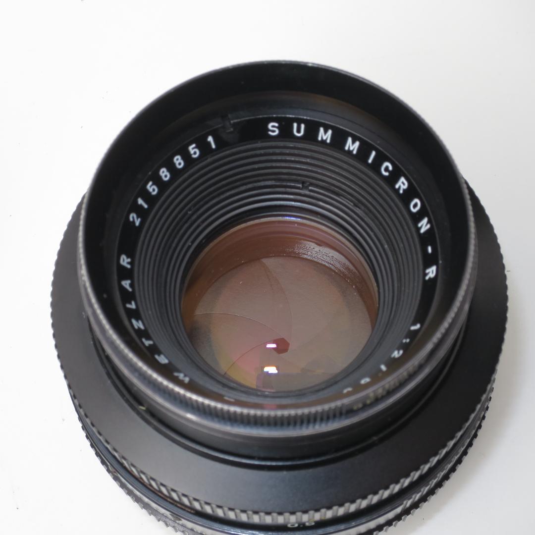 かわいい! LEICA R5 SUMMICRON-R 50mm F2 フィルムカメラ 245 ライカ