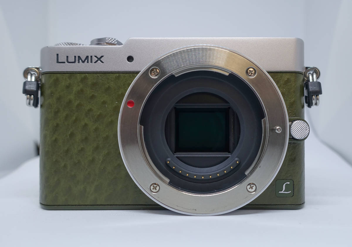 【特別訳あり特価】 Panasonic 中古美品 ボディキャップ ボディケース&ストラップ バッテリーパック付き DMC-GM5 パナソニック 【特別訳あり特価】 Panasonic 中古美品 ボディキャップ ボディケース&ストラップ バッテリーパック付き DMC-GM5 パナソニック