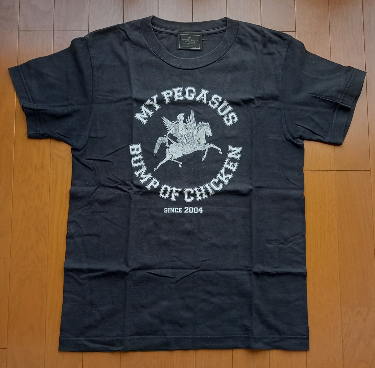 Tシャツ　BUMP OF CHICKEN　2004年ライブ　MY PEGASUS　バンプオブチキン　バンドT　送料230円　即発送_画像1