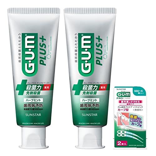 GUM( chewing gum ) plus dental paste medicine for is migaki[ herb mint ]