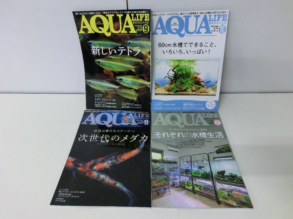 AQUA LIFE 月刊アクアライフ 2019年1〜12月号セット ※1月・5月カレンダーあり_画像3