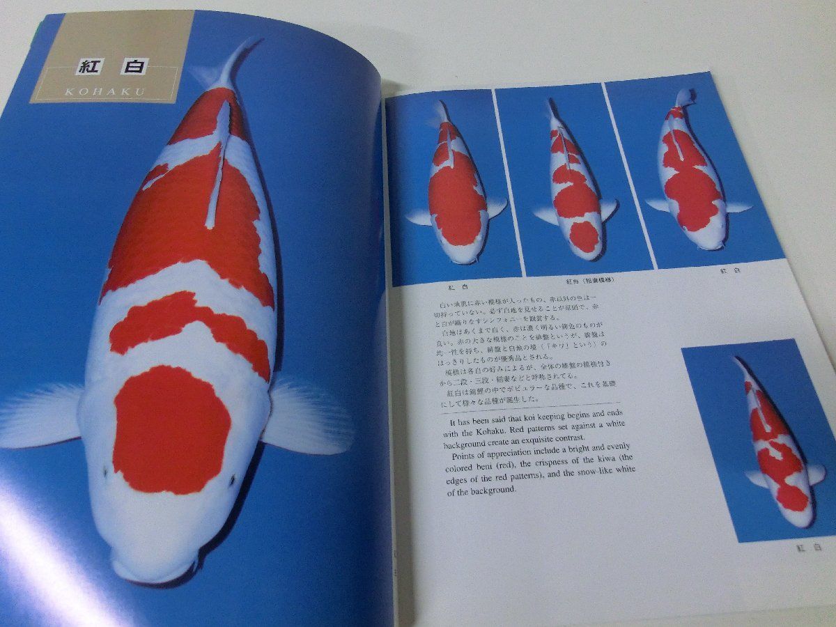  colored carp manual that goods kind . sick . measures 