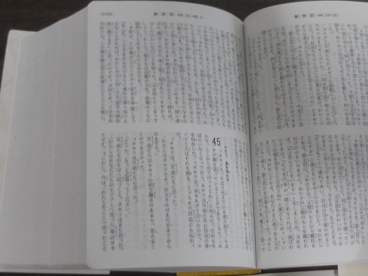 聖書 新共同訳 旧約聖書続編つき　バイブルキューブ　茶　函なし_画像5