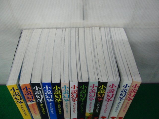 小説幻冬 2021年6月〜2022年7月号※2021年11月号欠品　13冊セット_画像2