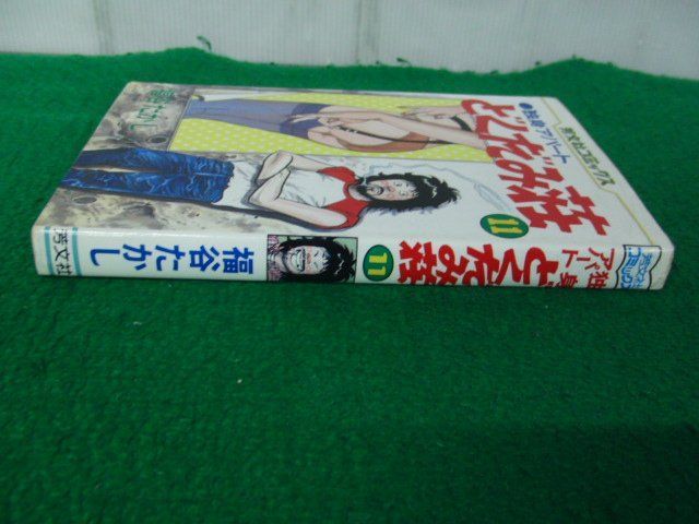 独身アパート どくだみ荘 11巻 福谷たかし 芳文社_画像2