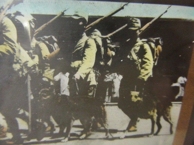 古い写真/ガラス 写真/ガラス板/スライド/軍服 男性 兵隊 鉄砲 犬/昭和 戦中戦後/レトロ 稀少 レア_画像5