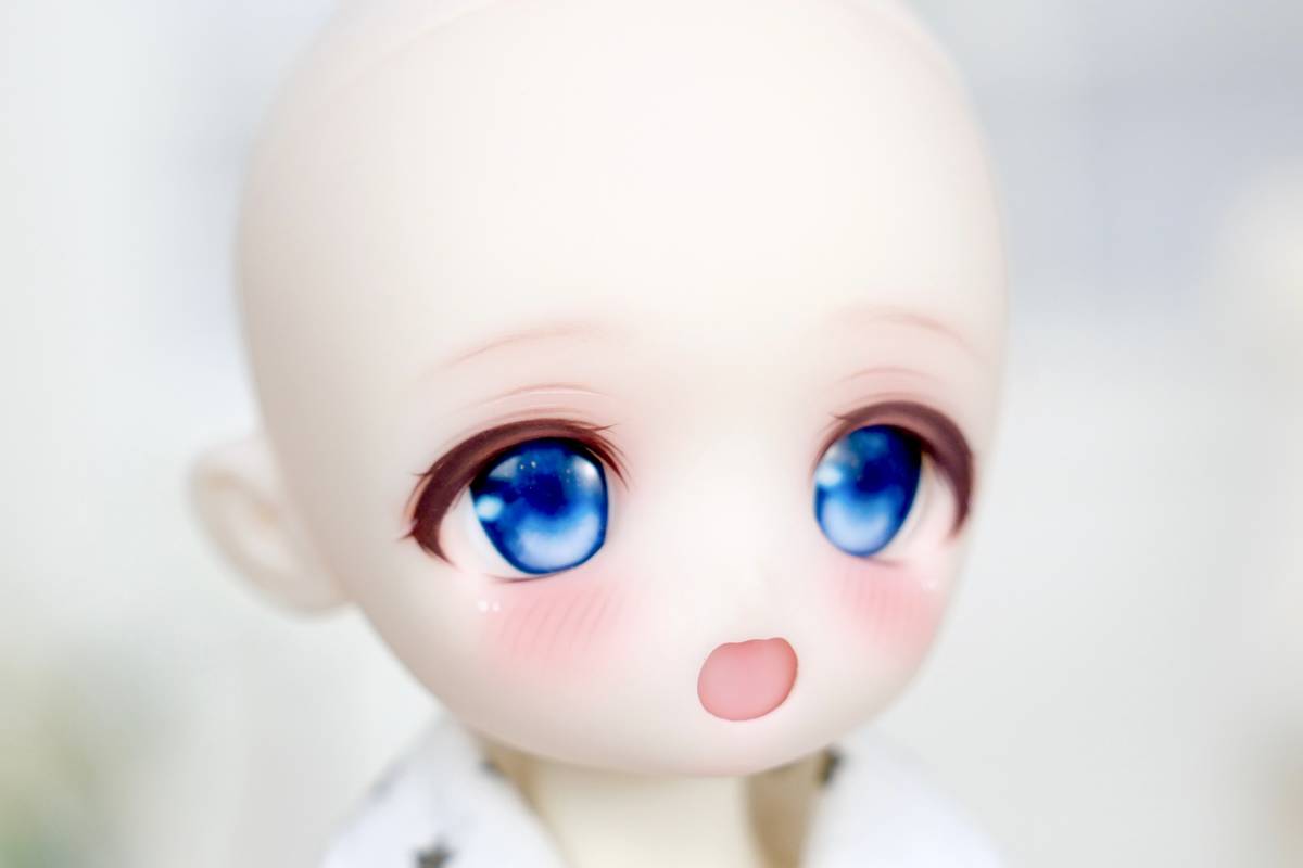 ねねこ』 1/6カスタムドールTinyfox 01S 白巧カスタムヘッド+ ねねこ』 1/6カスタムドールTinyfox 01S 白巧カスタムヘッド+