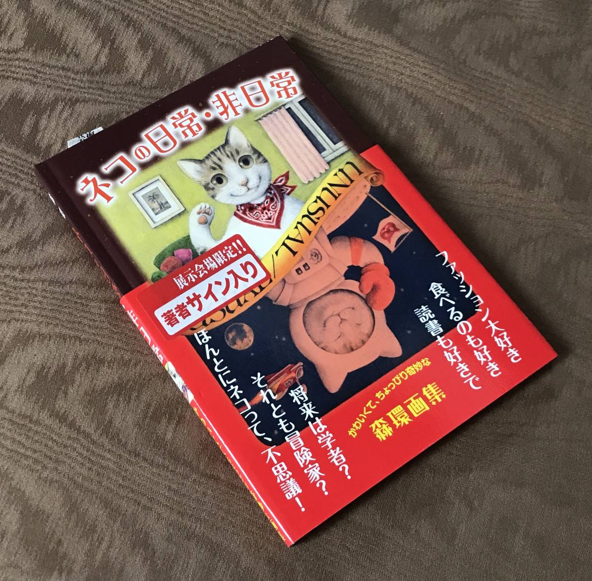 森環 画集　直筆サイン・カット入り ネコの日常・非日常　検索：森雅之 絵本 イラスト集 猫画 猫グッズ