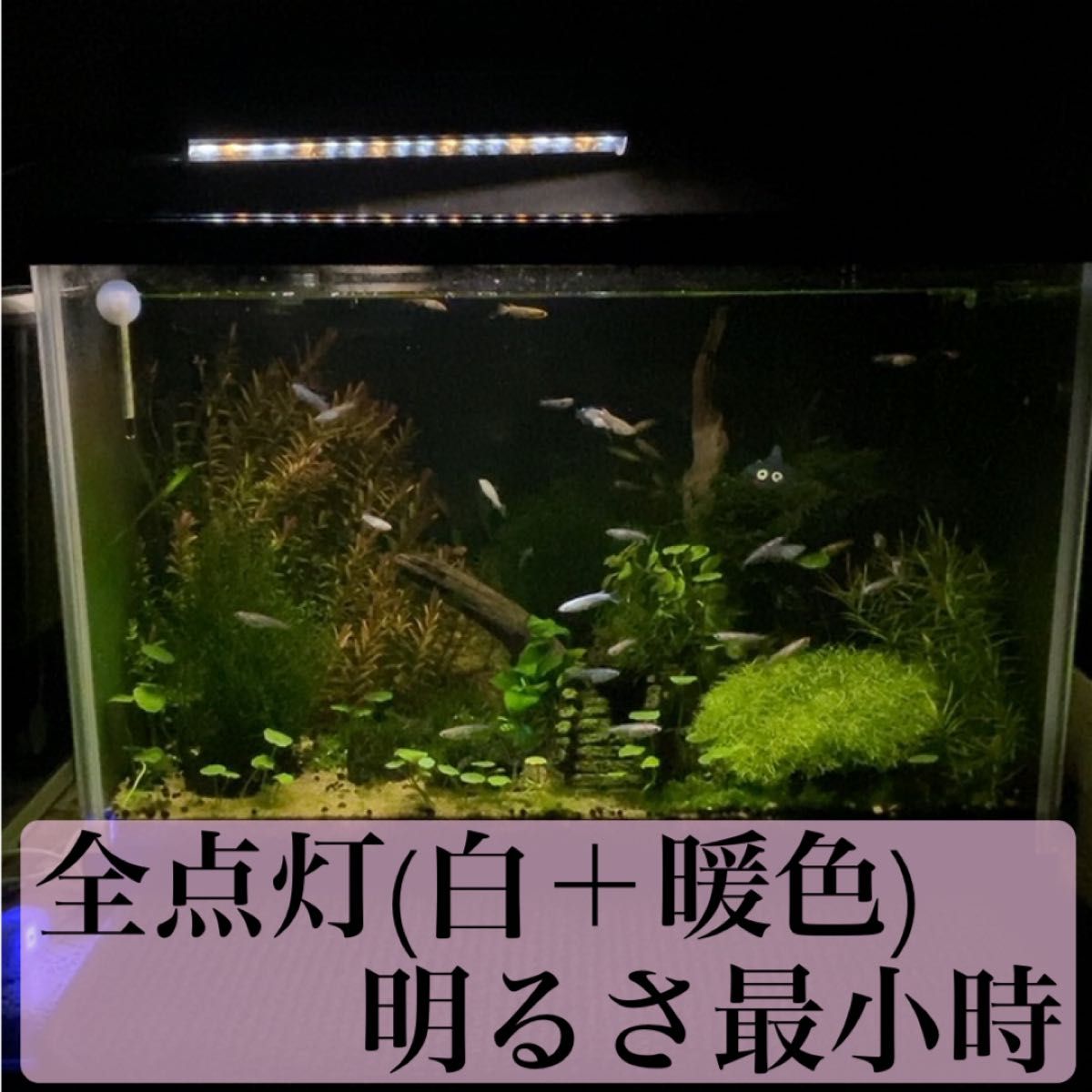 水槽 LED ３色(白暖／暖色／白)切替 10段階調光 省電力7W 新品動作確認済み