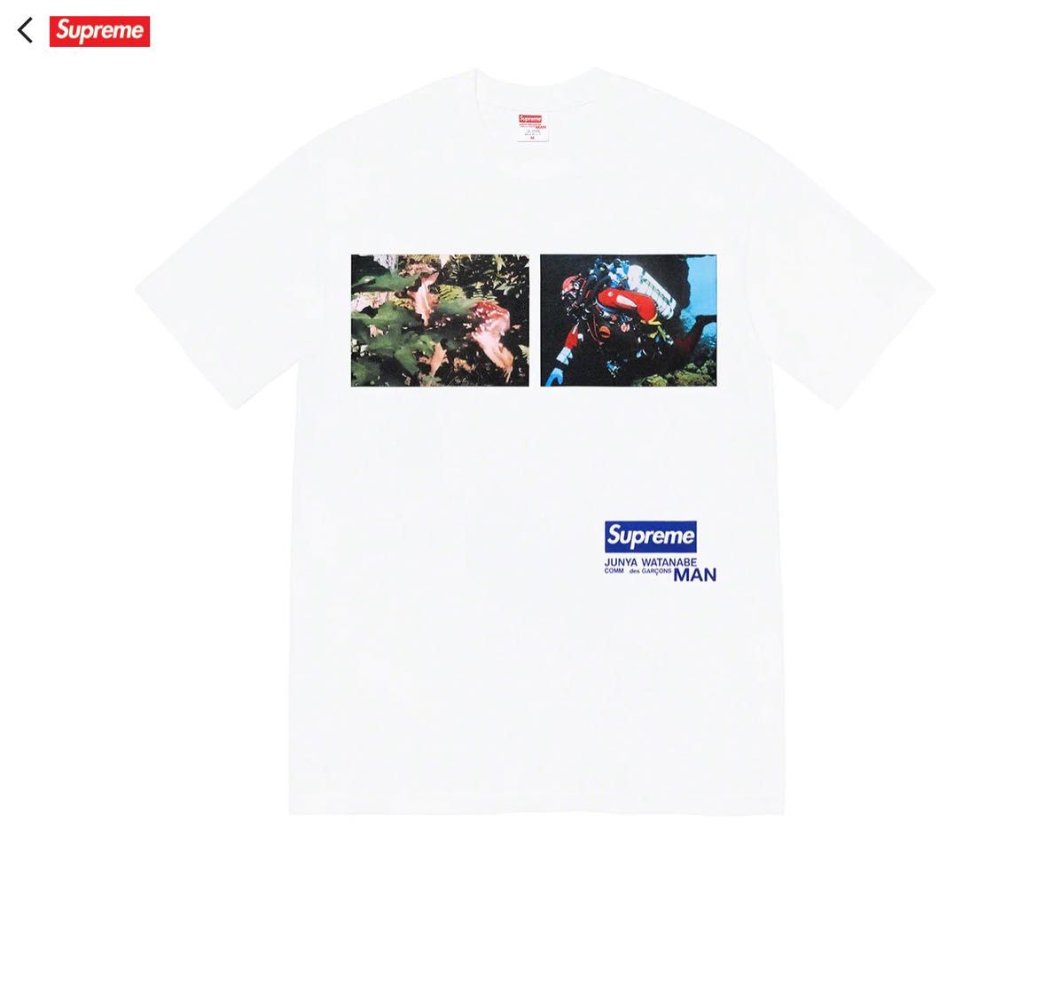 Supreme/JUNYA WATANABE COMME des GARONS MAN Nature Tee