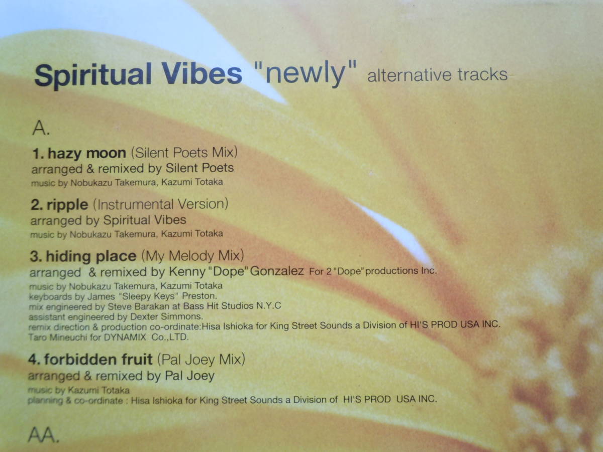 LP:Spiritual Vibes / スピリチュアル・ヴァイブス『Newly』 #竹村延和 #PayJoey #KennyDopeGonzalez #SilentPoets_画像2