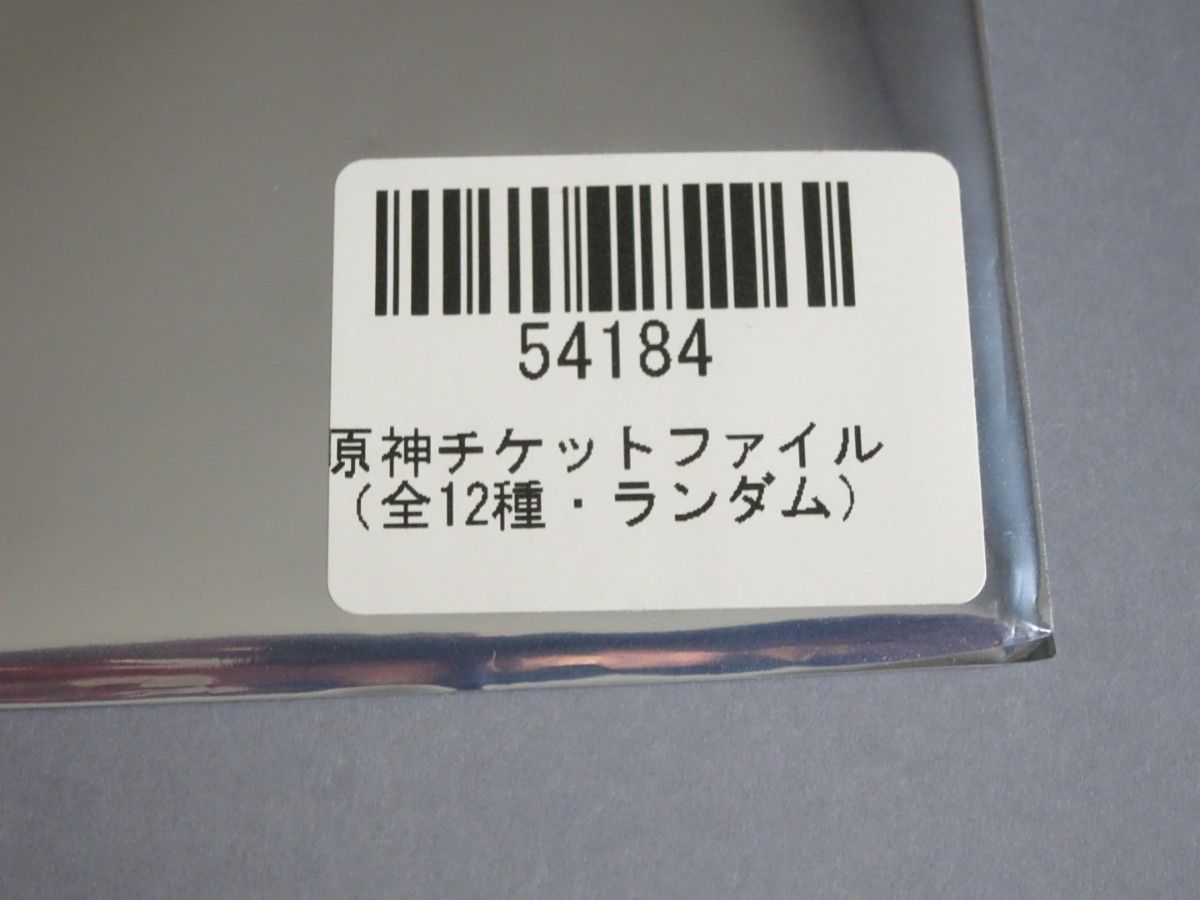 【原神】チケットファイル　九条沙羅