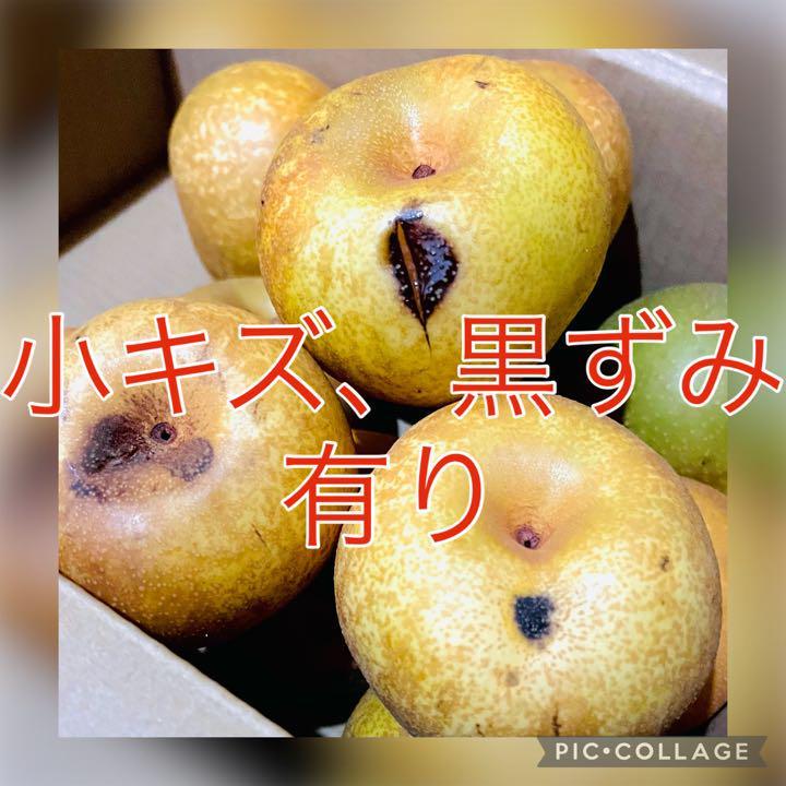 希少☆限定7名様先着☆訳あり大量☆幸水梨☆8〜10玉入箱☆富山県産☆呉羽梨☆ JChere雅虎拍卖代购 7名様先着限定破格☆希少☆秀品☆富山県産☆呉羽幸水梨4〜5玉入り箱☆