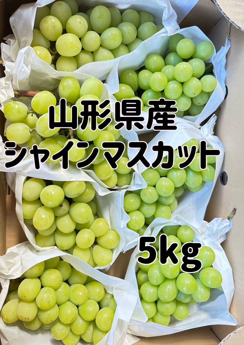【山形県産】シャインマスカット　5kg 葡萄　ブドウ　ぶどう