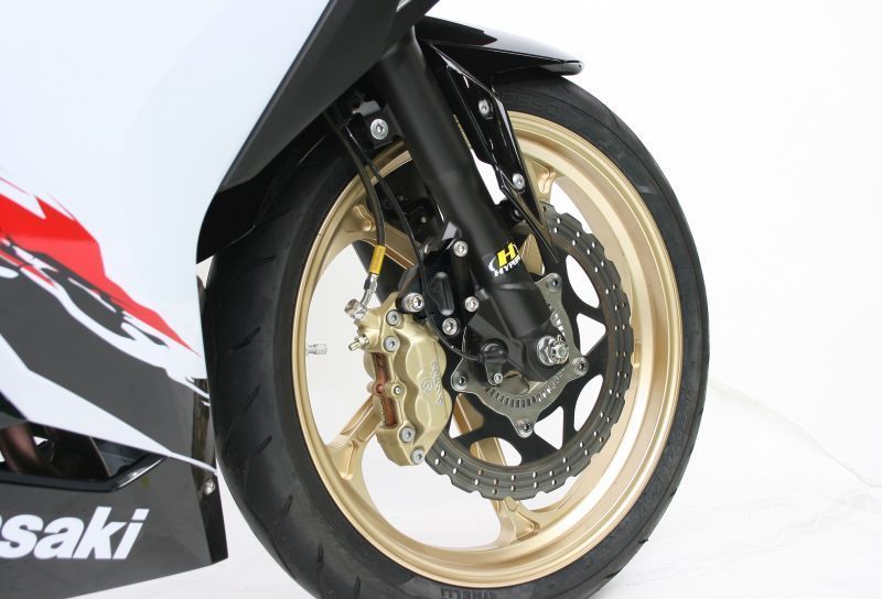  active standard rotor diameter correspondence front caliper support Brembo Ninja250/SL/R black 