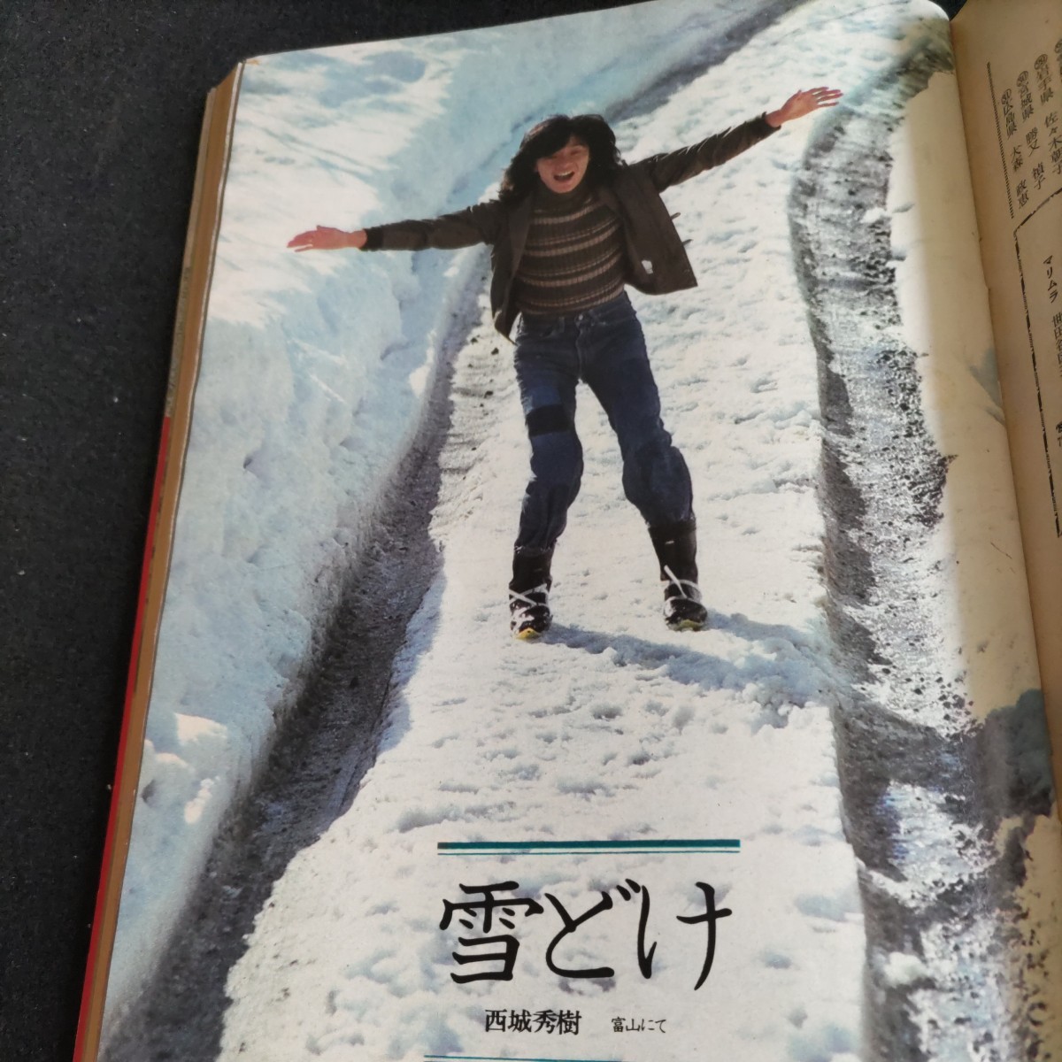 セブンティーン/No.8・昭和51年3月2日発行△三浦友和・山口百恵 セブンティーン/No.8・昭和51年3月2日発行△三浦友和・山口百恵