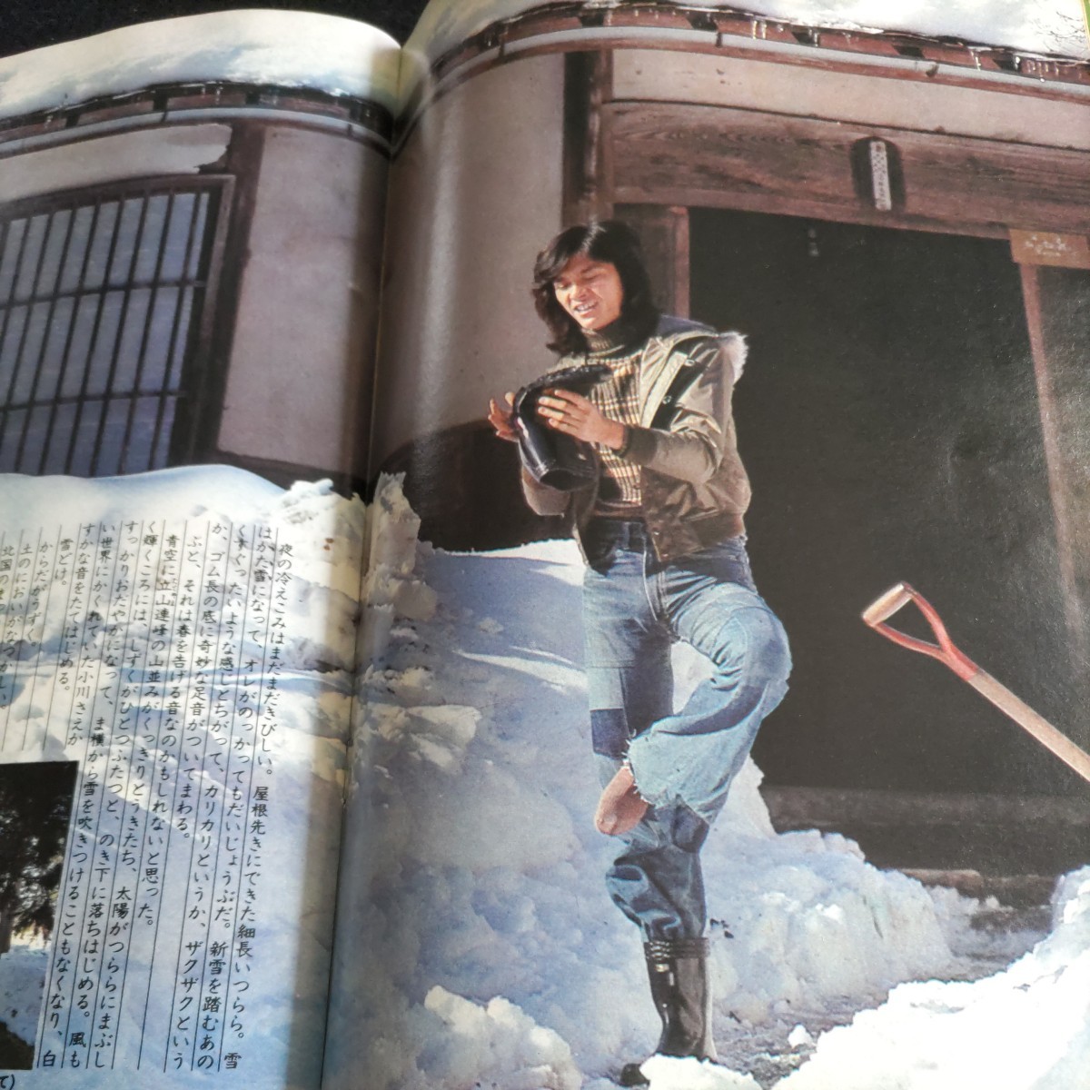 セブンティーン/No.8・昭和51年3月2日発行△三浦友和・山口百恵 セブンティーン/No.8・昭和51年3月2日発行△三浦友和・山口百恵