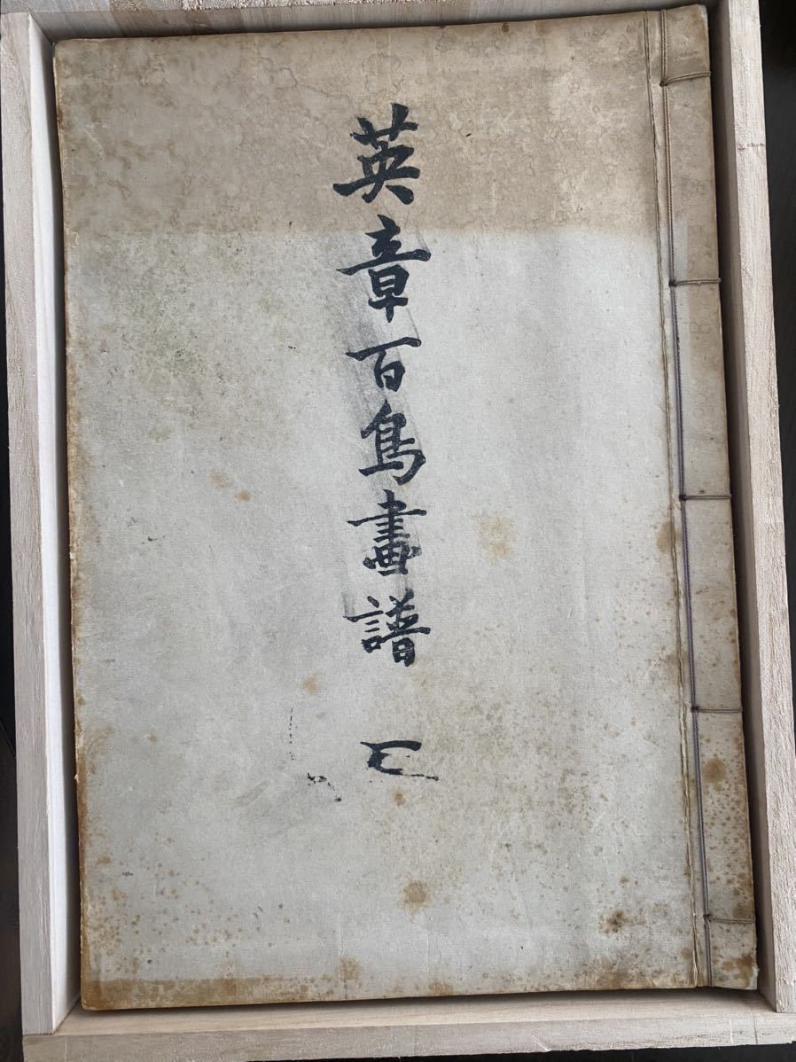 うのにもお得な情報満載! 英章百鳥畫譜 和書 - quangarden.art