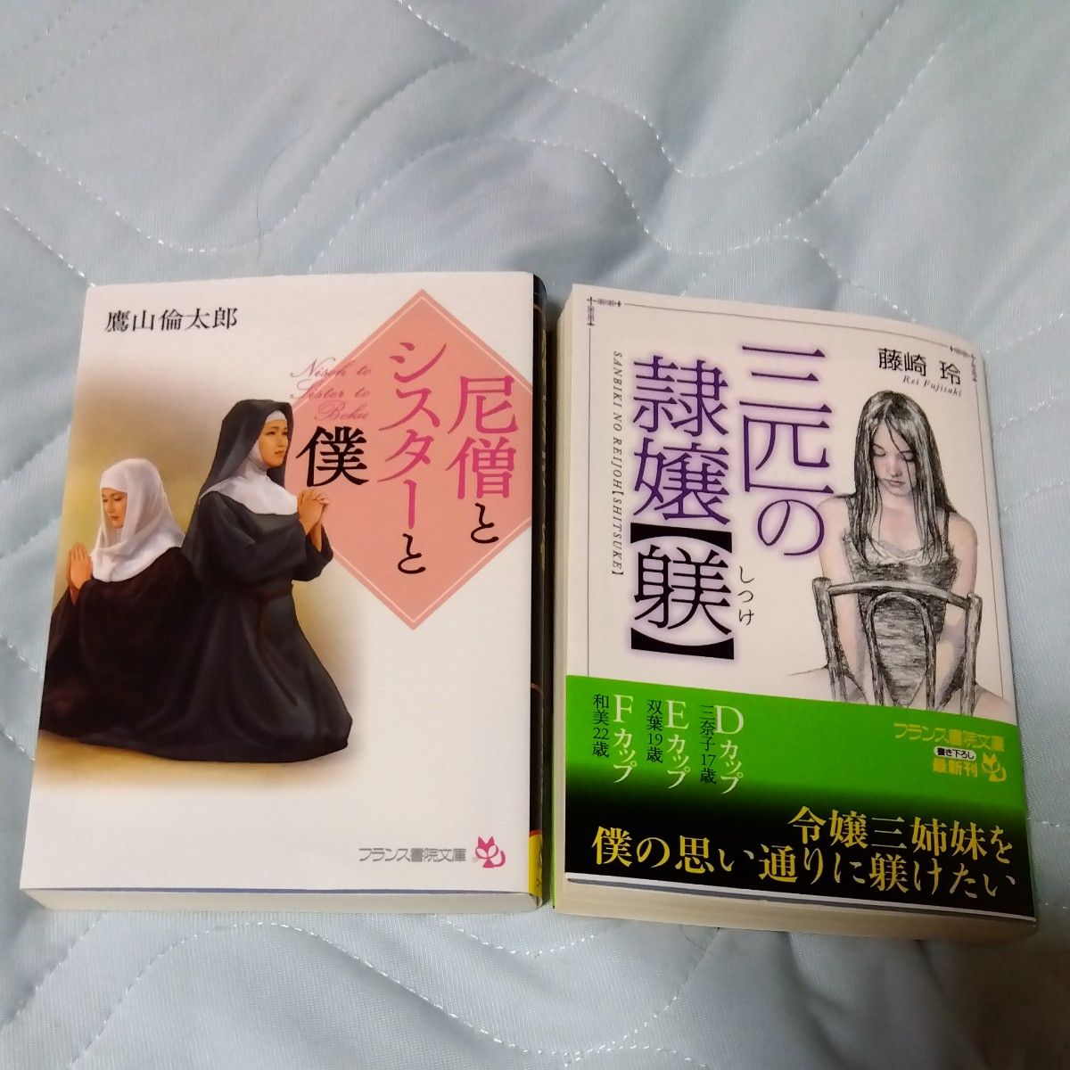 フランス書院文庫　尼僧とシスターと僕　三匹の隸嬢