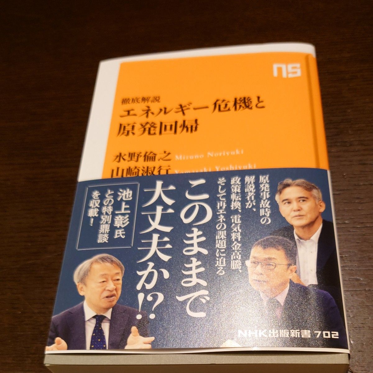 エネルギー危機と原発回帰　徹底解説 （ＮＨＫ出版新書　７０２） 水野倫之／著　山崎淑行／著