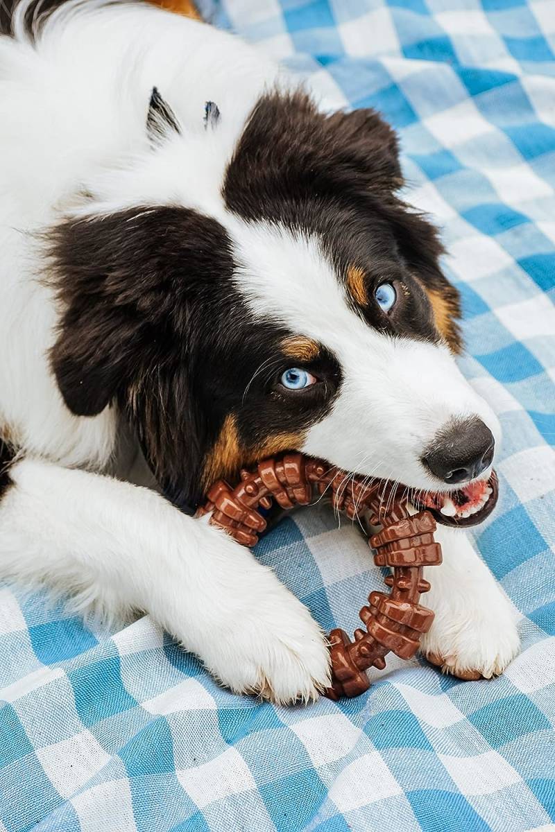 Nylabone 犬用 チューイングトイ 噛むおもちゃ テクスチャーリング ジャイアントサイズ ナイラボーン デュラチュウ ペット用品