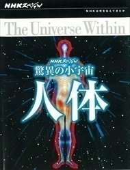 海外並行輸入正規品 【送料無料】NHKスペシャル 驚異の小宇宙 人体 DVD BOX 【DVD】 NSDX-23206-NHK ドキュメンタリー 海外並行輸入正規品 【送料無料】NHKスペシャル 驚異の小宇宙 人体 DVD BOX 【DVD】 NSDX-23206-NHK ドキュメンタリー