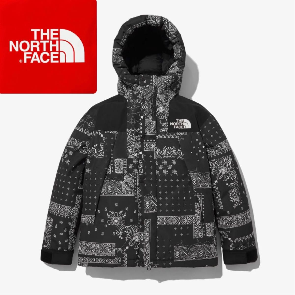 【韓国限定】the north face ultimate down XSサイズ