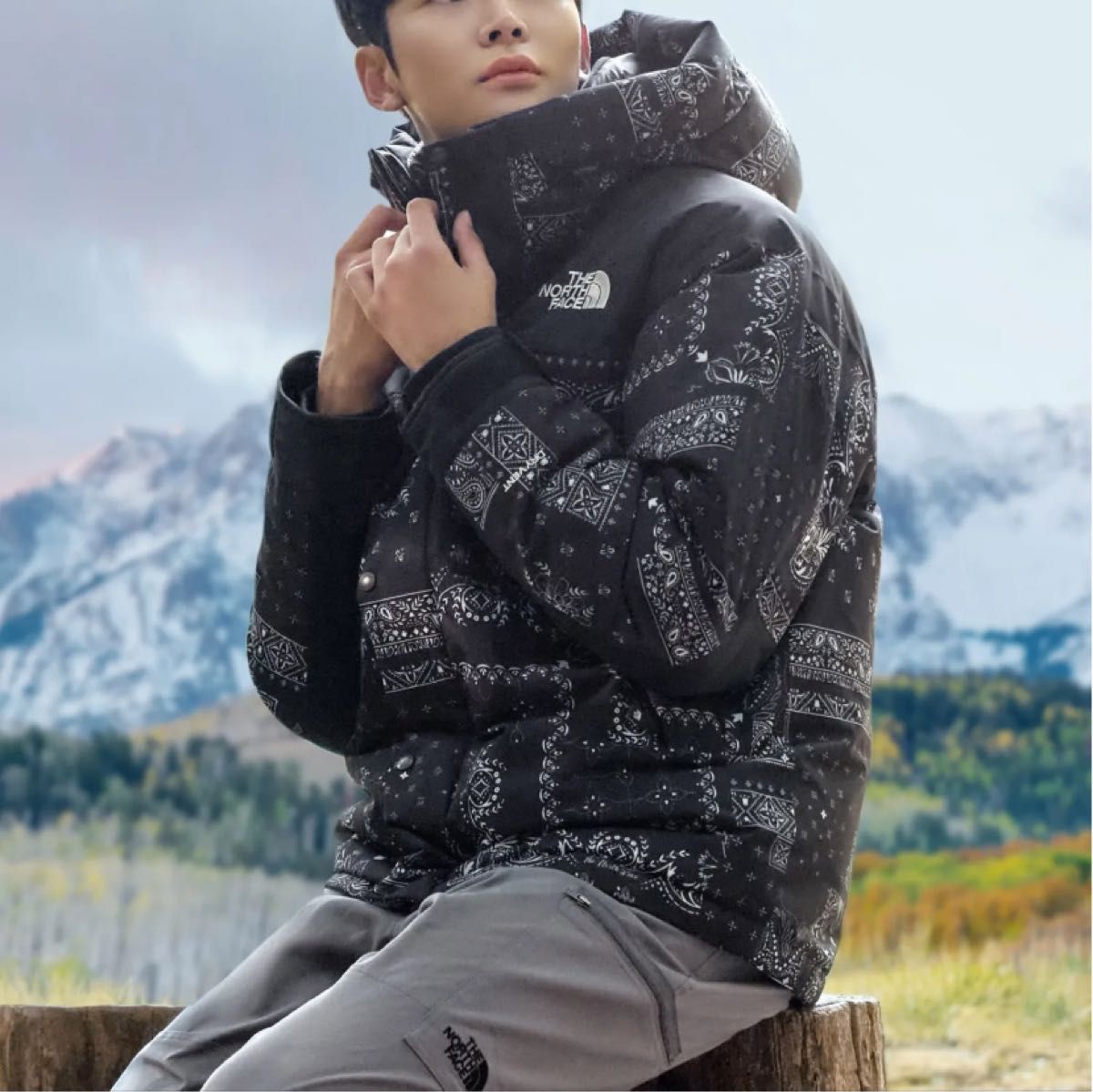 【韓国限定】the north face ultimate down XSサイズ