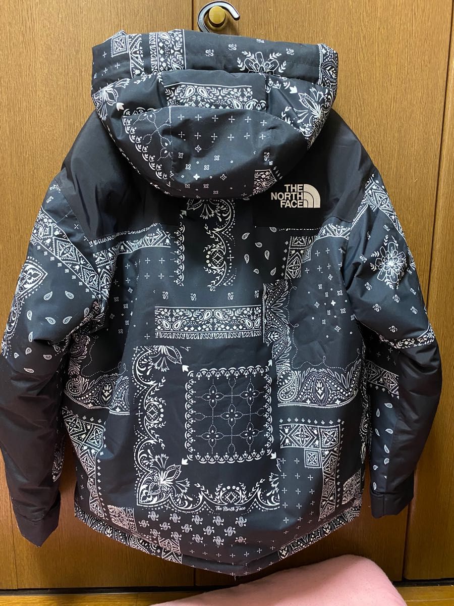 【韓国限定】the north face ultimate down XSサイズ