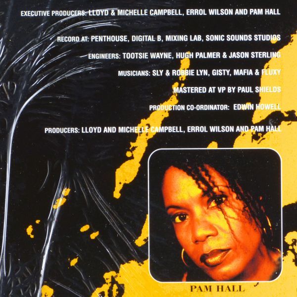 ■Pam Hall（パム・ホール）｜R&B Hits Reggae Style ＜LP 2001年 US盤＞My Heart Will Go On, Lean On Meなど シュリンク残り_画像5