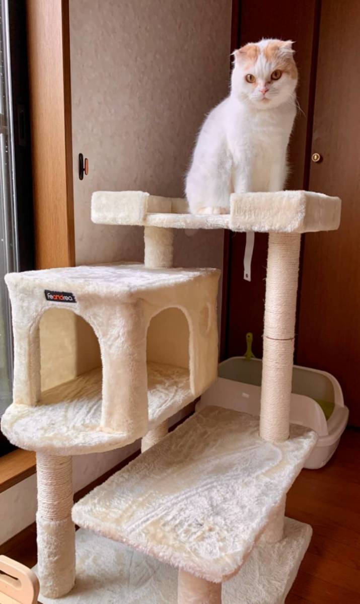 独特な 子猫やシニア猫におすすめの低めの段差付きキャットタワー