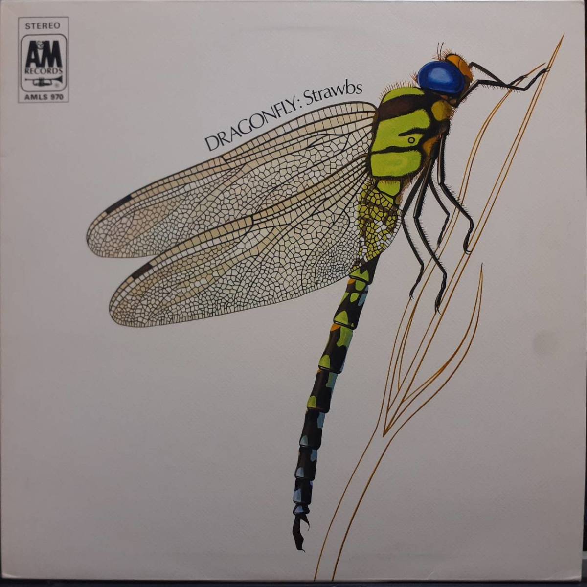 英A&M盤LP マトA-1 テクスチャーJKT！Strawbs / Dragonfly (2nd Album) 1974年 AMLS970 Rick Wakeman(YES)参加 Tony Visconti プロデュース_画像1