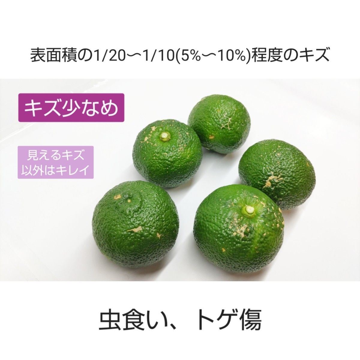 農家直送 宮崎県 西米良の青ゆず キズ少なめ