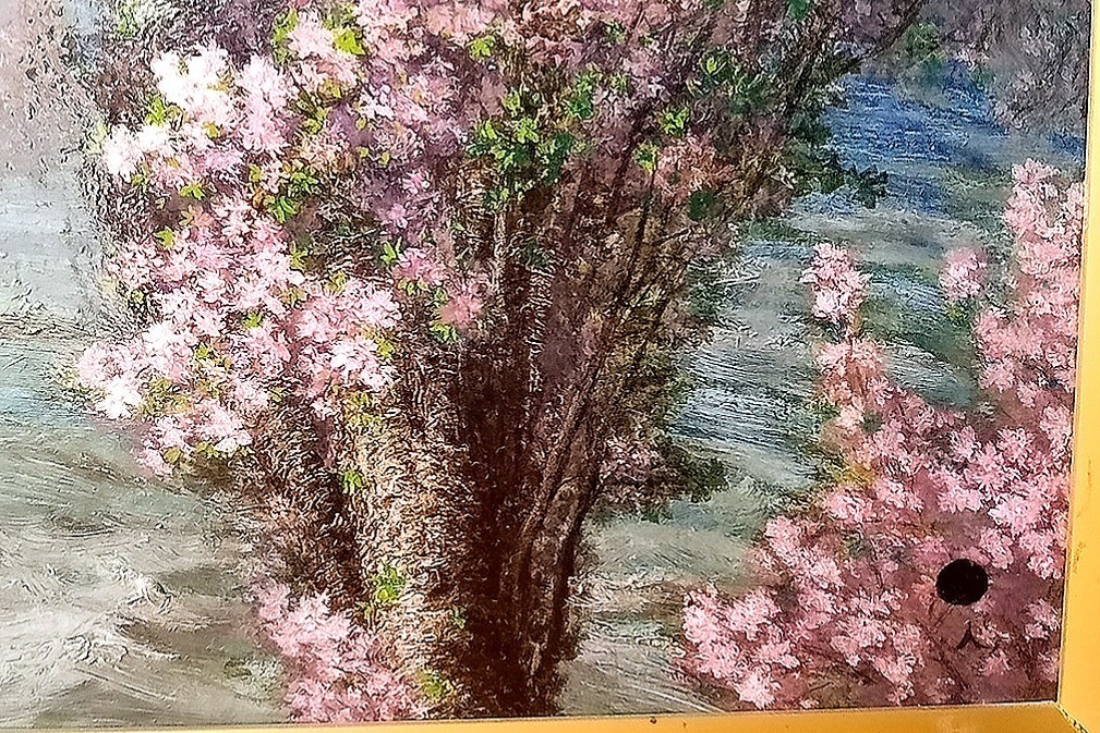 [ spring .] Nakamura . confidence F6 number oil painting .[ genuine work ]* frame ending V last price cut! * Sakura * flower see * oil painting sketch * japanese nature 