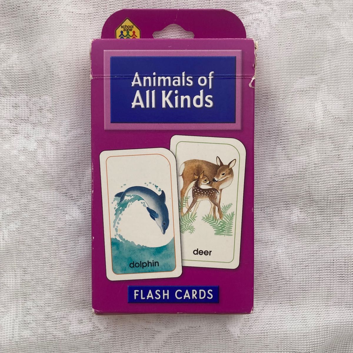 Animals of All Kinds 動物 フラッシュカード