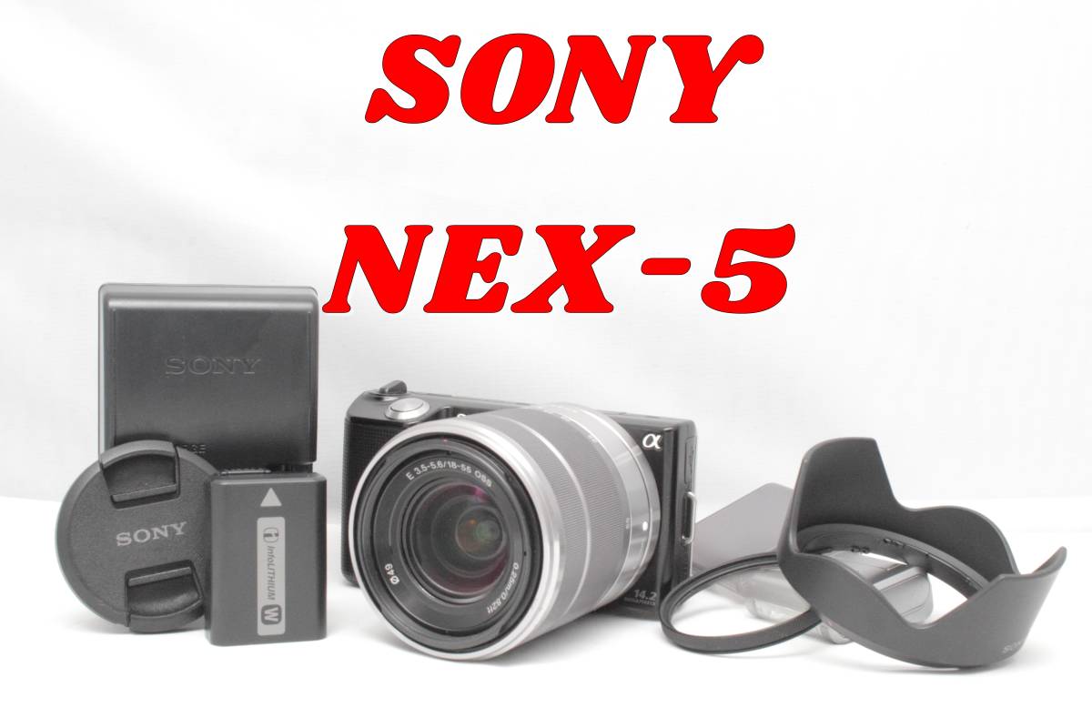 SONY NEX-5 標準ズーム レンズキット 美品-