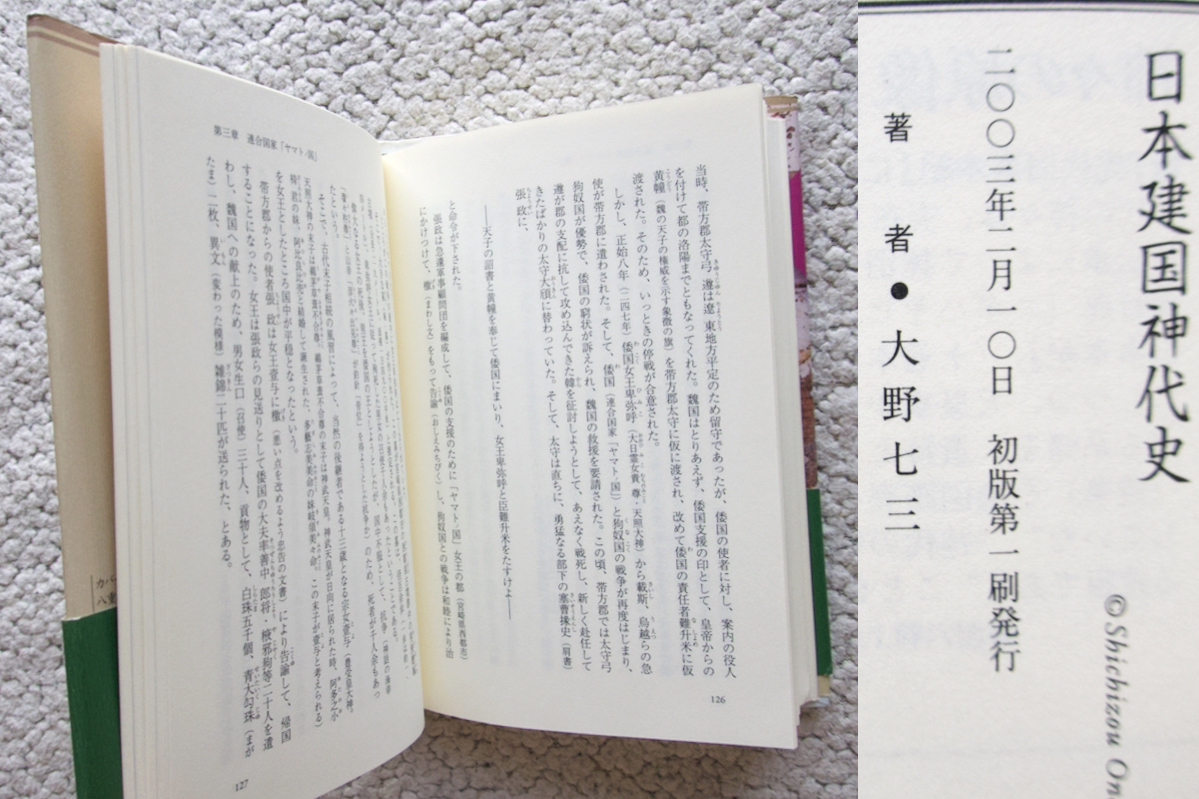 日本建国神代史 (批評社) 大野七三_画像10