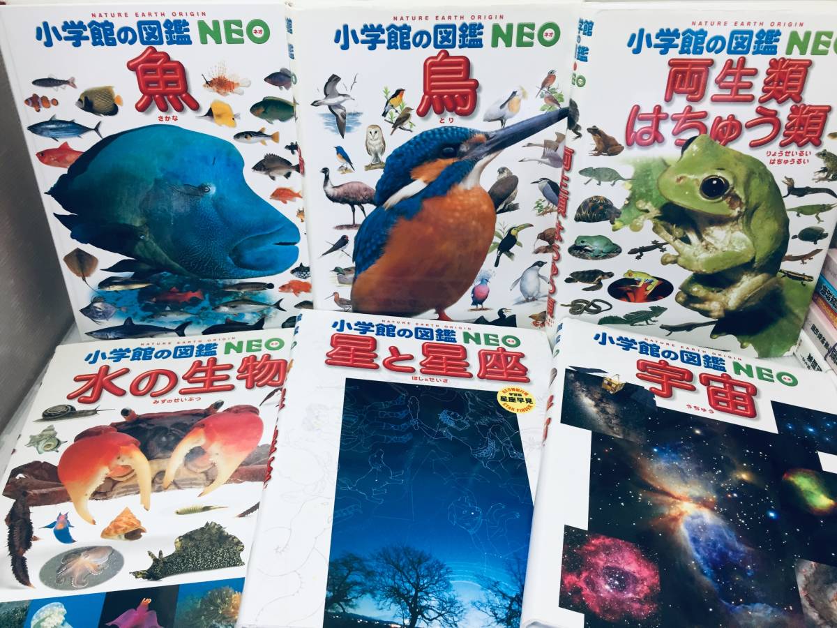 小学館の図鑑NEO くらべる図鑑・分解する図鑑+小学館の図鑑NEO 1 小学館の図鑑NEO くらべる図鑑・分解する図鑑+小学館の図鑑NEO 1