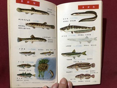 ｍ〇〇　ポケット採集図鑑3　水の生物　監修：久保伊津男　学習研究社　　/I22_画像3