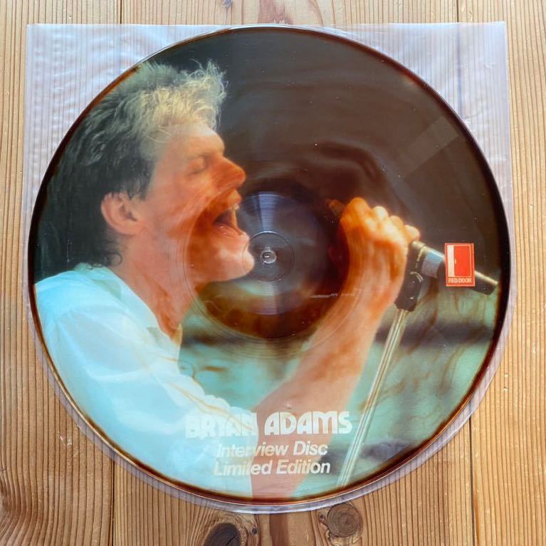 12inch 稀少盤 Bryan Adams ブライアン・アダムス レコード まとめて 10枚 プラス ピクチャーレコード 1枚 合計11枚_画像8